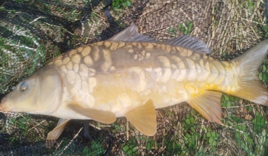 Séjour pêche en Baie de Somme – Camping insolite 4 étoiles Le Clos Cacheleux